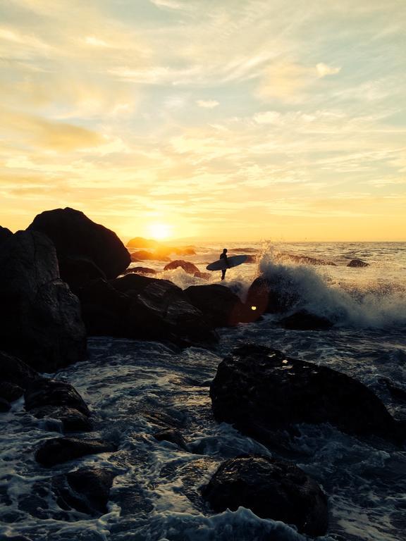 Bazil'S Backpackers Bbh Hostel & Surf School ويستبورت الغرفة الصورة